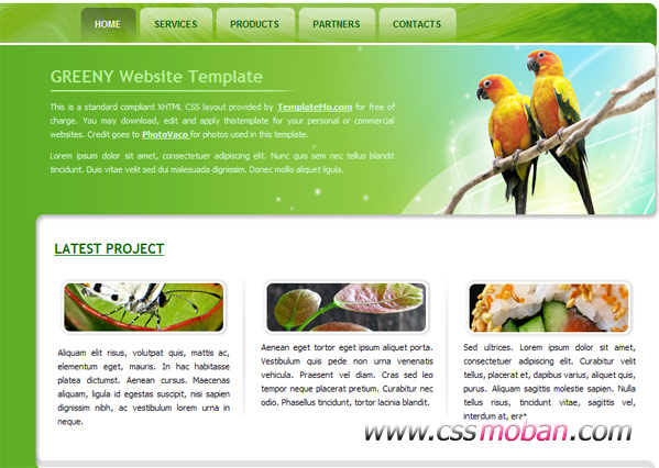 绿色炫彩的企业网站模板