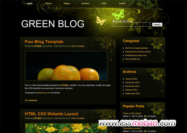 漂亮的绿色透明博客模板