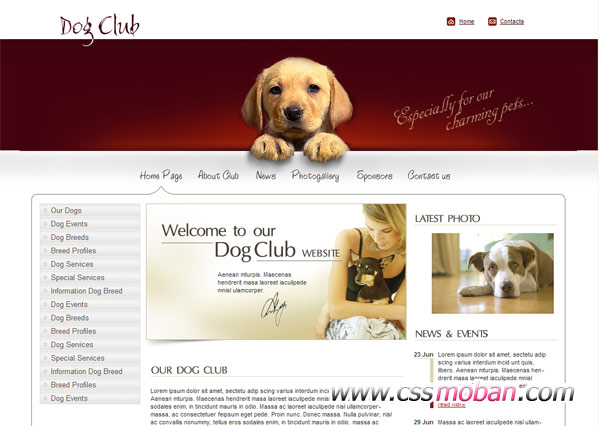 宠物狗类暗红色网站模板