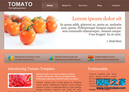 西红柿食品相关网站模板