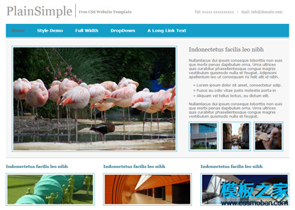 蓝色极简单的动物类网页模板