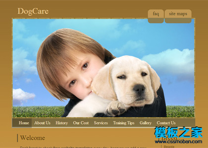棕色宠物狗网站模板下载