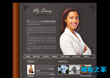 棕色个人网络日记博客CSS模板