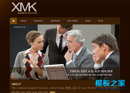 棕色漂亮的大图展示商务网站模板