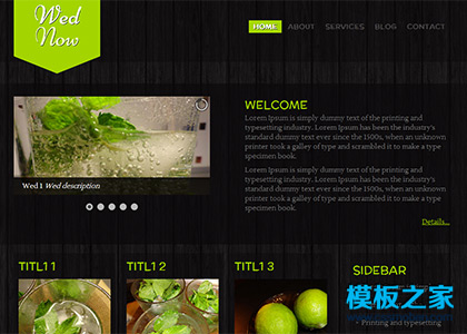 黑色木纹背景绿色植物html5模板