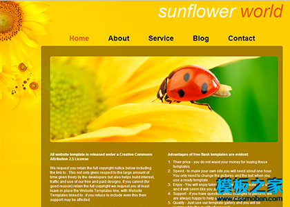 黄色太阳花简洁的CSS模板