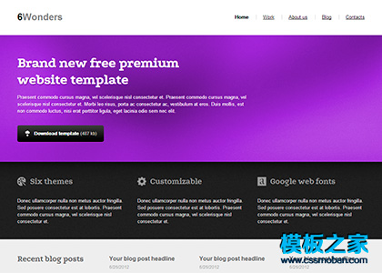 精美漂亮的软件企业网站模板(紫色)