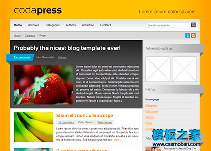 橙色漂亮的web20科技企业网页模板