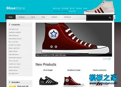 大气精美鞋子电子商务商城网站模板
