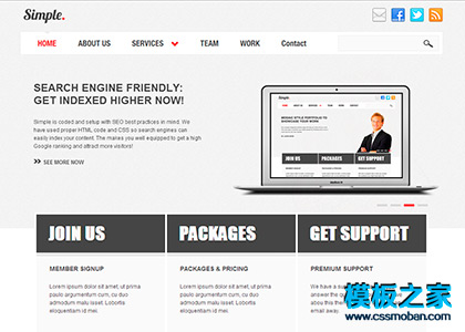 非常简洁大气灰色企业网站模板