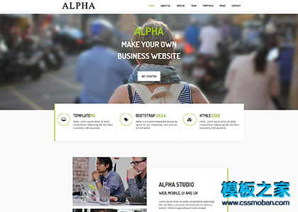 Alpha商业咨询公司css3动画模板