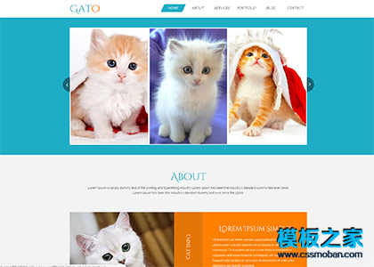 漂亮宠物猫狗在线交易企业网站模板