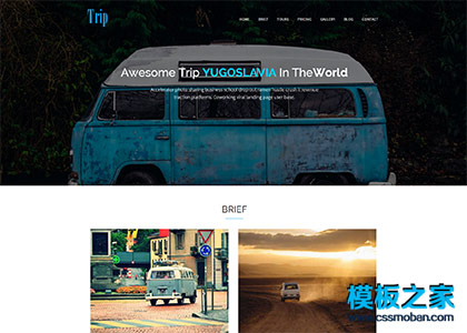 大图互联网旅游科技服务公司网页模板