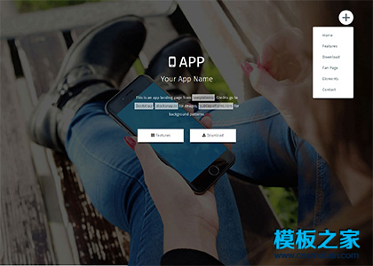 APP开发者项目主页网站模板