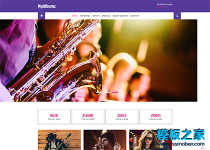 紫色大图音乐演唱会整站业网站模板