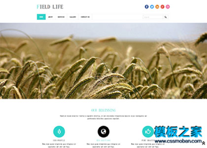 农业环保绿色简洁农场网页模板