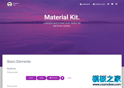 紫色大气bootstrap UI皮肤html5模板