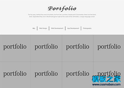 PORTFOLIO项目案例展示企业网站模板