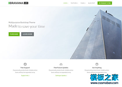 Bravana软件开发公司响应式官网整站模板