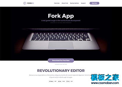 Fork App编程软件工具官网响应式模板