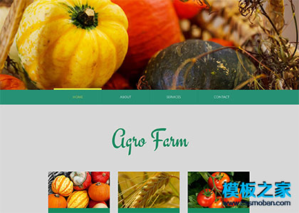 自适应农业蔬菜水果网站模板