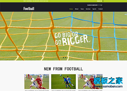 FOOTBALL主球运动场活动企业模板