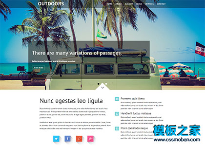 海滨沙滩旅行专题网站模板