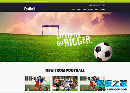 football足球运动比赛html5模板