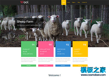 纺织羊毛线加工厂企业网站模板
