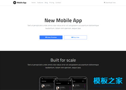 New Mobile App响应式网站模板