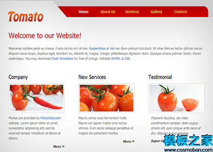 tomato滑动红色浅灰色微型站点网站模板