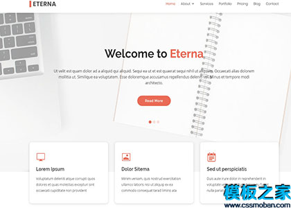 Eterna创新简约交互式引导程序web网站模板
