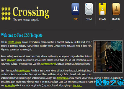 crossing黄色灰色交叉标准式网站布局web模板