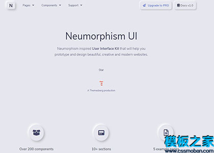 灰色同态UI神经形态用户界面设计web网站模板