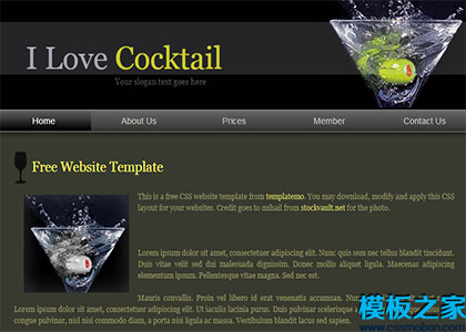 cocktail深色大气酷炫单页web网站模板