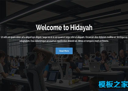 Hidayah响应式现代布局干净网站模板