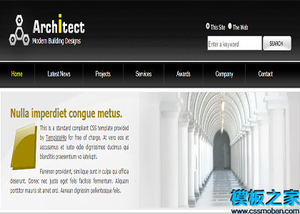三列布局黑色标题浅灰色主体颜色architect网站模板