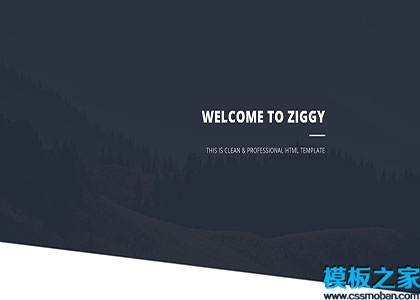 Ziggy黑白UI个人生活主题响应式网站模板
