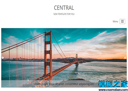 Central大气响应式商务机构中央网站模板