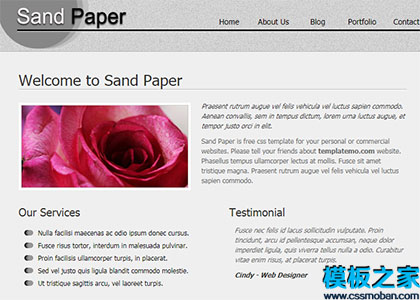 sand paper垂直页面干净整洁专业网站模板