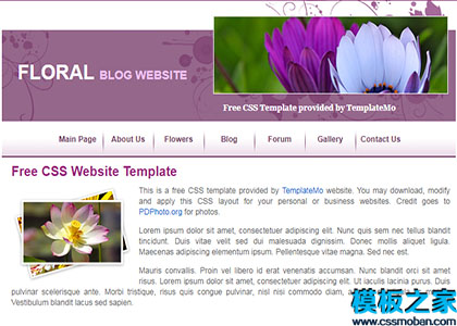 floral单页花卉CSS布局网站模板