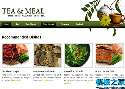 tea and meal白色绿色专业设计干净布局网站模板