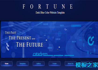 fortune神秘精致深蓝色主题多列布局网站模板