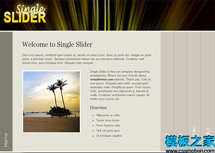 single slider可页面转换新颖背景图像网站模板