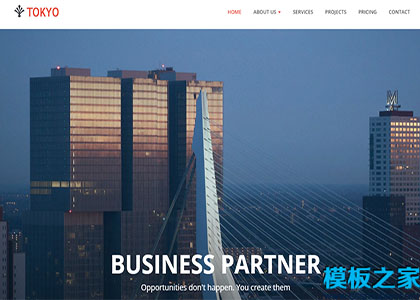 tokyo大气蓝色高楼城市响应式企业web网站模板
