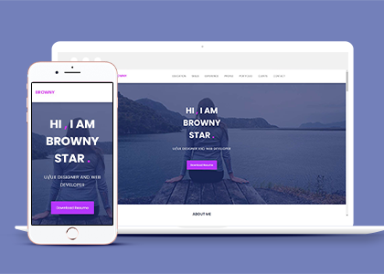 紫色精美大气开发者个人简历网站模板