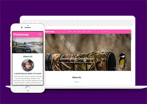 粉色大气动物摄影作品HTML5网站模板