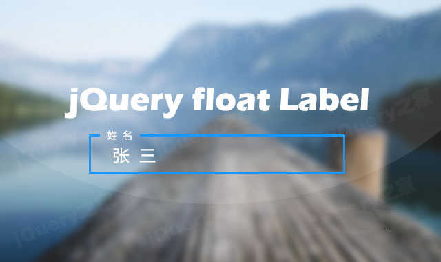 jQuery表单浮动标签插件