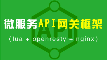 微服务Api网关框架lua+openresty+nginx视频培训程序
