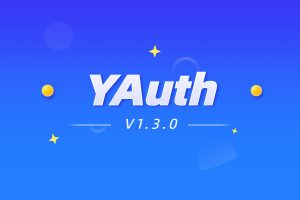 YAuth V1.3.0授权系统源码